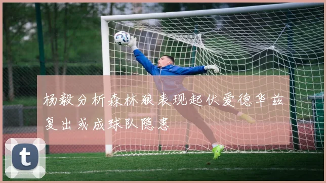 杨毅分析森林狼表现起伏爱德华兹复出或成球队隐患